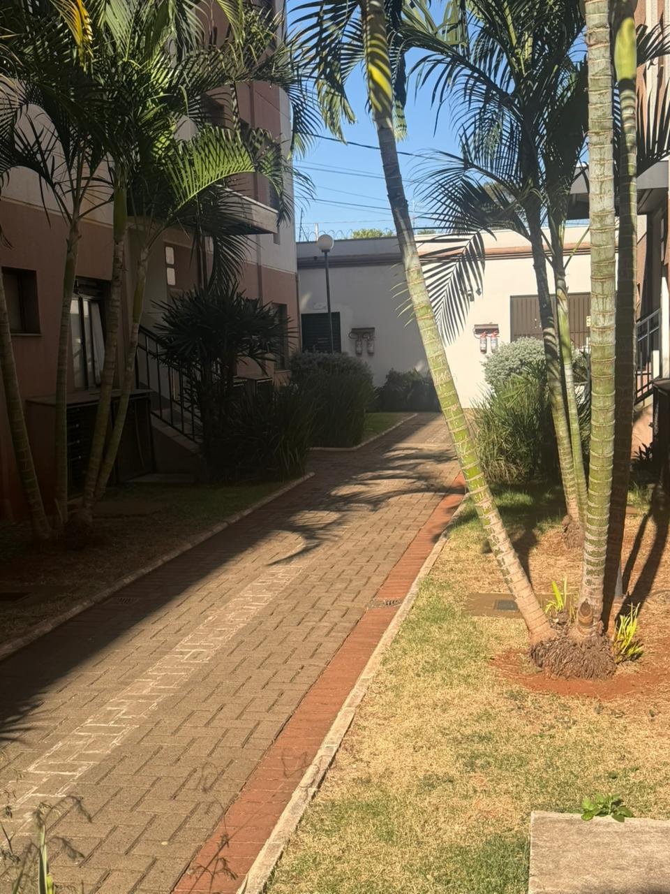 Apartamento 2 quartos Ipiranga, Ribeirão Preto - foto 2