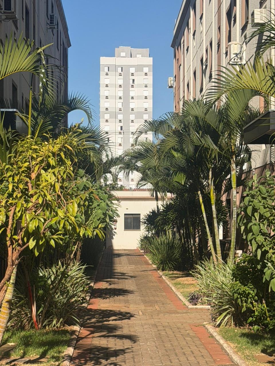 Apartamento 2 quartos Ipiranga, Ribeirão Preto - foto 17